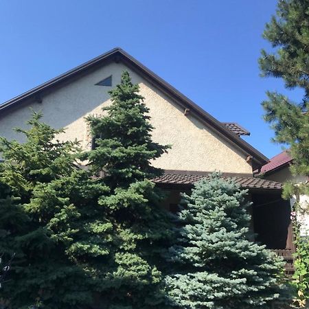 Green Villa Костинешти Экстерьер фото