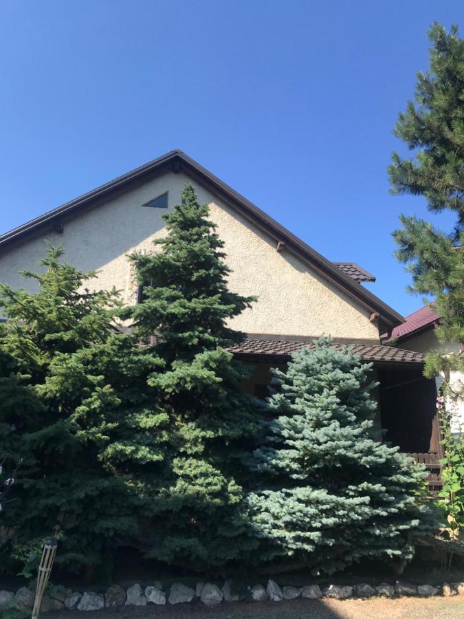 Green Villa Костинешти Экстерьер фото