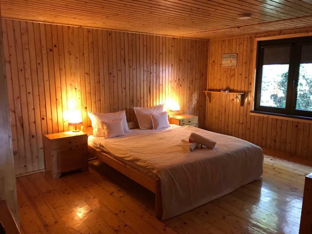 Green Villa Костинешти Экстерьер фото