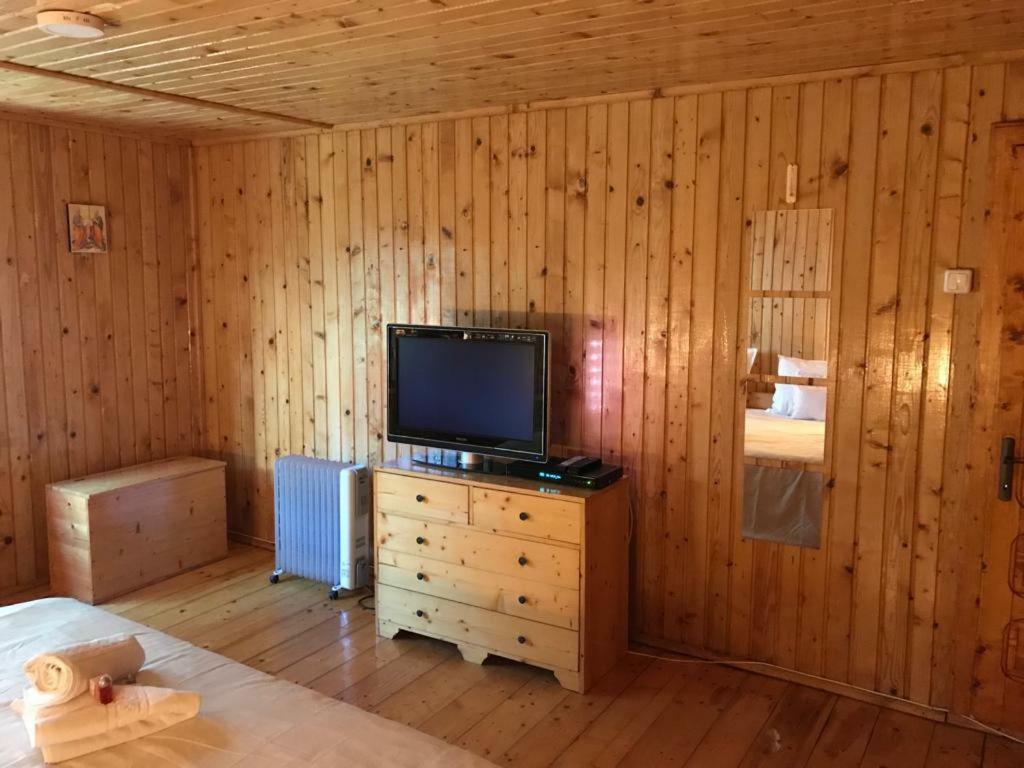 Green Villa Костинешти Экстерьер фото