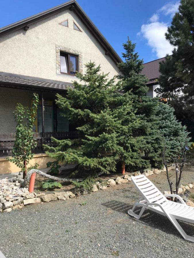 Green Villa Костинешти Экстерьер фото