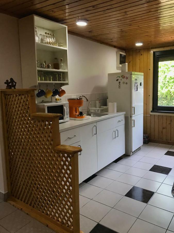 Green Villa Костинешти Экстерьер фото